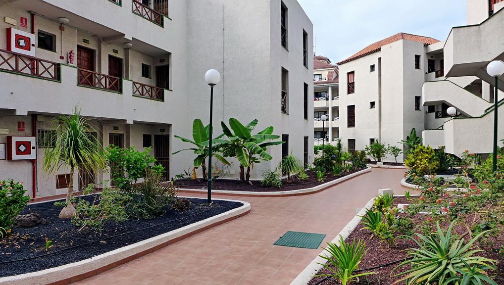 Apartment Andorra Playa de las Americas  Exterior foto